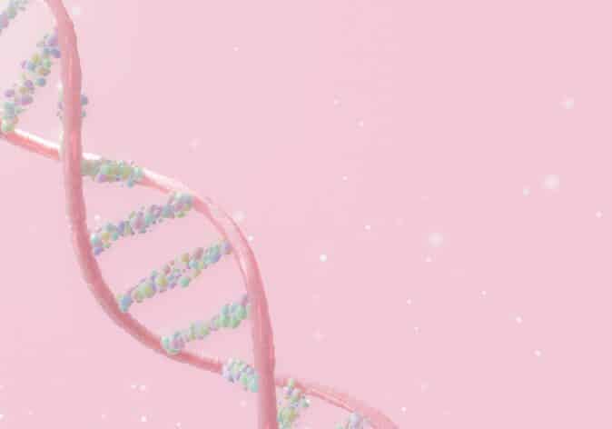 palb2 gene
