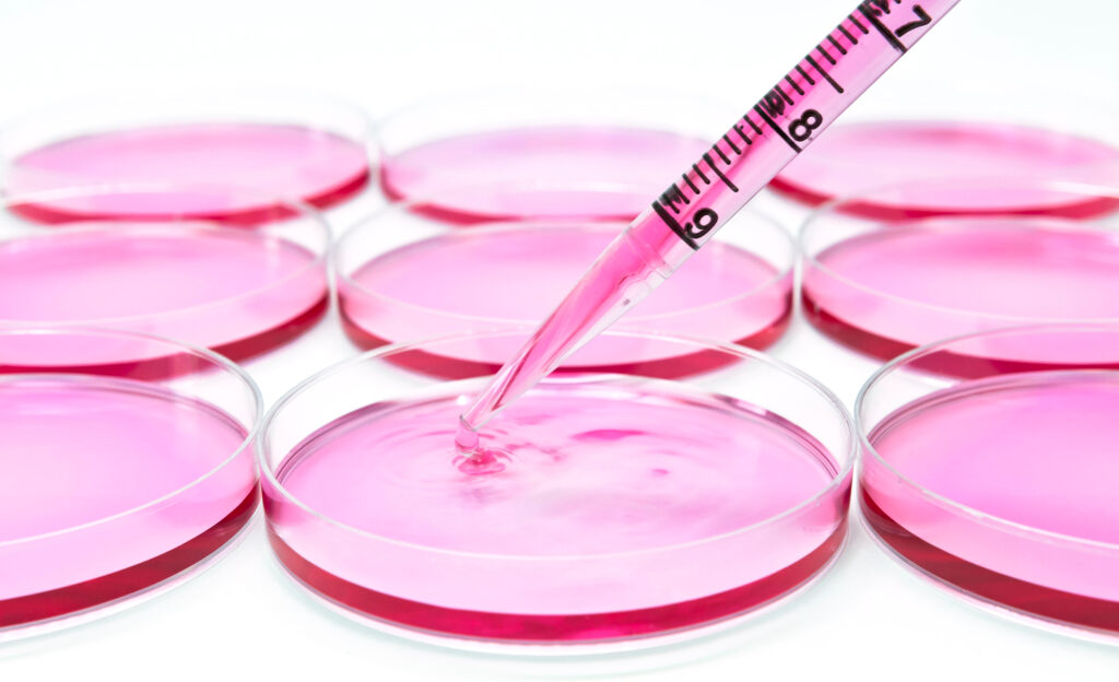 split-banner-image