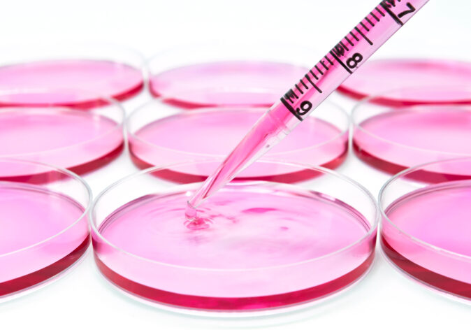 breast cancer vaccine