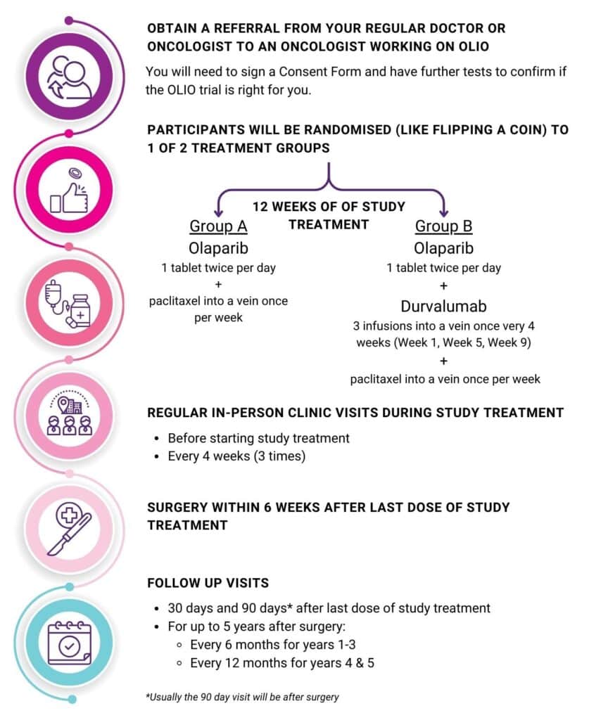 what does taking part in olio involve public website protocol version 4.0 20251210 | 1