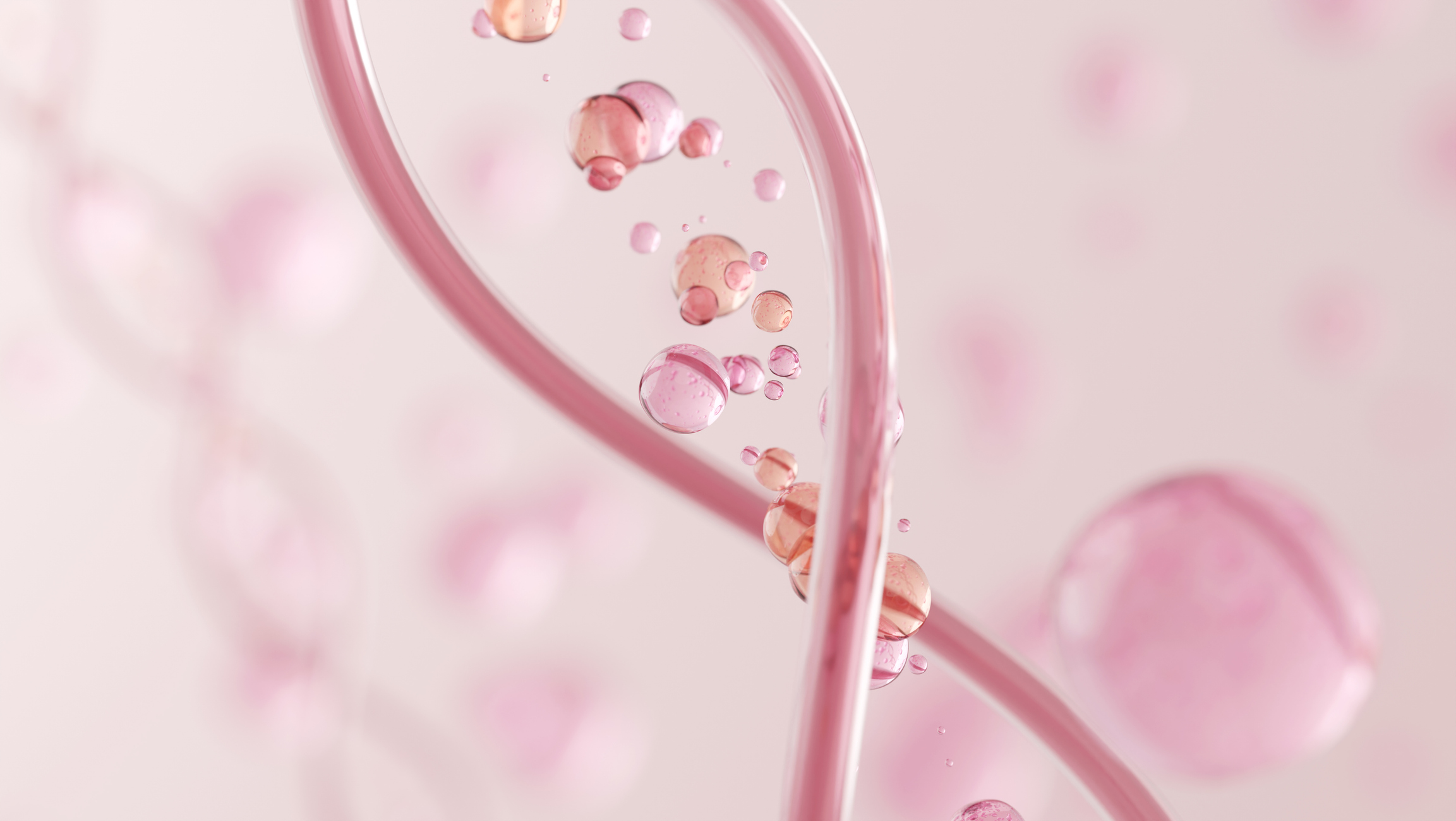 TP53 Mutation and Breast Cancer 